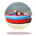 Şişme Rodeo