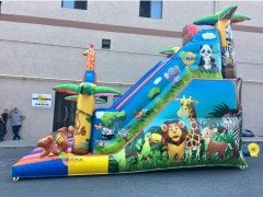 Şişme Kaydırak Hayvanlar Alemi 6x4x5m