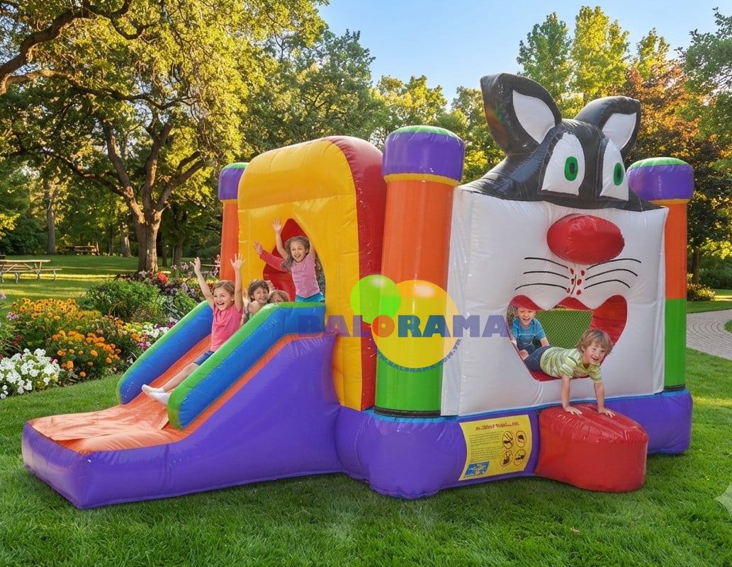 Kedi Pvc Oyun Parkı 5x3.5x3m