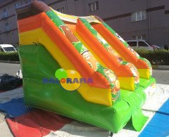 Şişme Kaydırak Orman 3x3x2.8h Mt